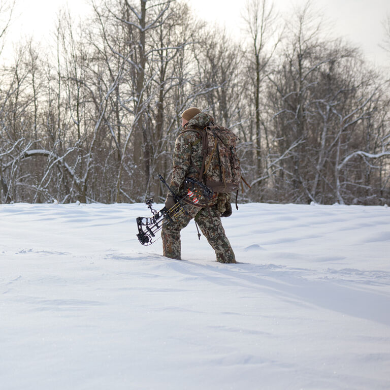 Late Season Whitetail